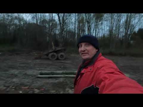 Видео: Всё ещё готовлю площадку для дров и рубки сруба 