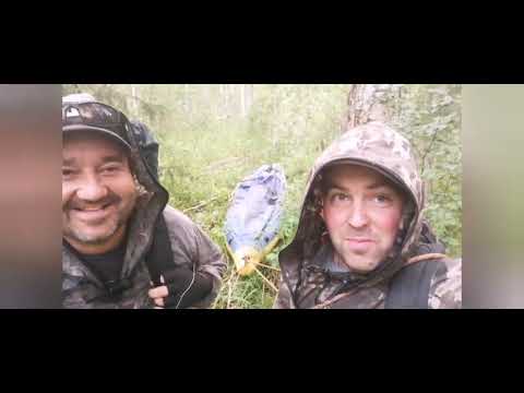 Видео: кепина, ёрна, верхотина, мегра 2023...