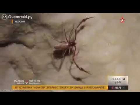 Видео: В Абхазии обнаружено #самая #глубокая #пещера в #мыре более 2 х км.