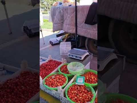 Видео: Вэйхай