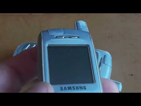 Видео: Обзор на загруженные мелодии Samsung SGH-X600