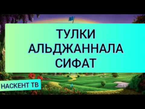 Видео: ТУЛКИ-АЛЬДЖАННАЛА СИФАТ