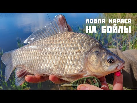 Видео: Ловля карася на бойлы  | Укрупняем рыбу крупной насадкой | Flat Feeder