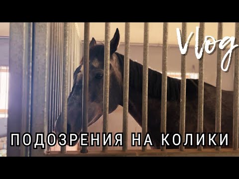 Видео: Подозрение на колики