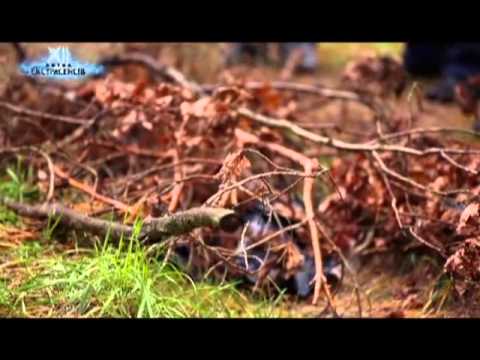 Видео: Гибель 19-летней Аллы. Битва экстрасенсов - Сезон 12 - Выпуск 4 - часть 3 - 27.10.2013