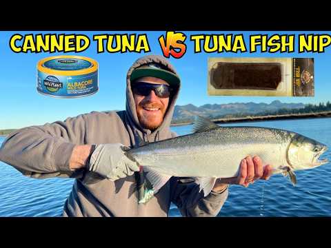 Видео: ИСПЫТАНИЕ ЛОВЛИ ЛОСОСЯ: КОНСЕРВИРОВАННЫЙ ТУНЕЦ VS ПРОФЕССИОНАЛЬНО КОНСЕРВИРОВАННАЯ РЫБА