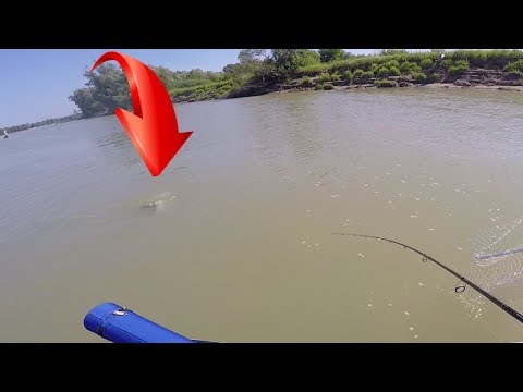 Видео: Рыбалка на реке. Ловля щуки в мутной воде, недостатки офсета .ЩУКА НА СПИННИНГ