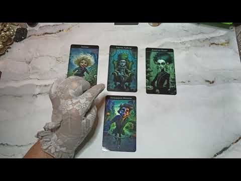 Видео: События 4 ноября 