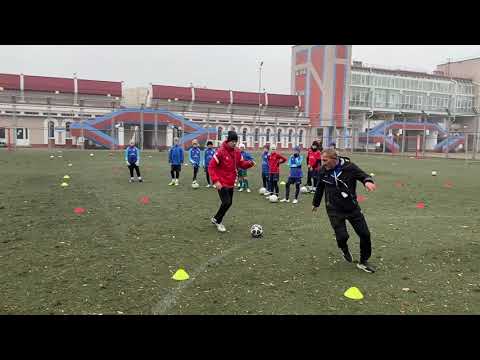 Видео: Тренировка с участниками семинара, организованного ГФК "Динамо-Брест". 30.10.2024 г.