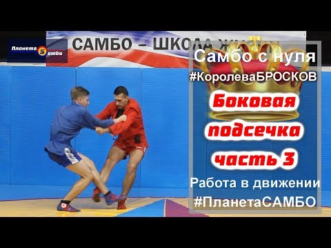 Видео: Боковая подсечка в самбо часть 3 отработка в движении