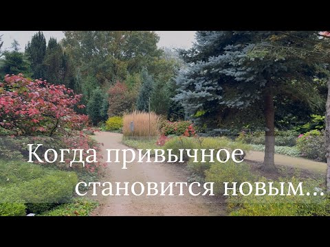 Видео: День открытых дверей 🌿 Открыла для себя новый Парк садов — осенью он другой! 🌿
