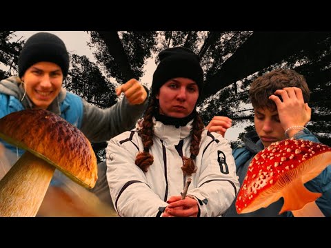Видео: В ЛІС ПО ГРИБИ | 🥵 я такого не очікував
