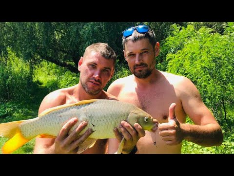 Видео: Многодневный выезд на рыбалку! #Дунай #Кислицы #Рыбалка с ночевкой #Баня на природе