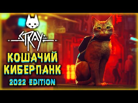 Видео: ПРИКЛЮЧЕНИЯ КОТИКА В БОЛЬШОМ КИБЕРГОРОДЕ! | Прохождение Stray 🐱 | (часть 1)