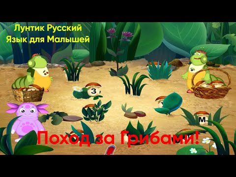 Видео: Поход за Грибами|Лунтик Русский Язык