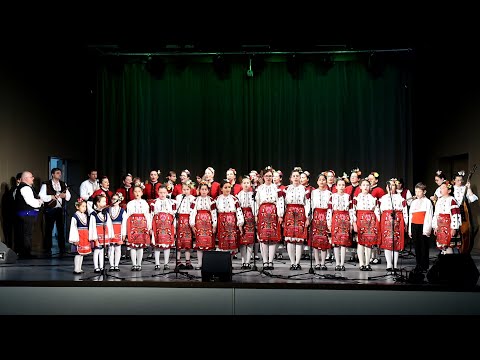 Видео: ДФА Габровче - Концерт на възпитаници на музикалния отдел - 7.03.2024г