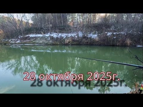 Видео: МЕЖСЕЗОНЬЕ, ПОПЛАВОК ! Рыбы полно ! Коротаем время до льда. Рыбалка 28 октября 2025г.