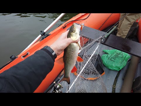 Видео: Рыбалка на реке Чусовая / Голавль, хариус, щука.