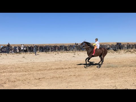 Видео: Бекет ата 275 жыл Шопан ата ас беру 4.10.2025 Аламан 36 шақырым