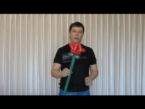 Видео: Раскрывшийся тюльпан из шдм