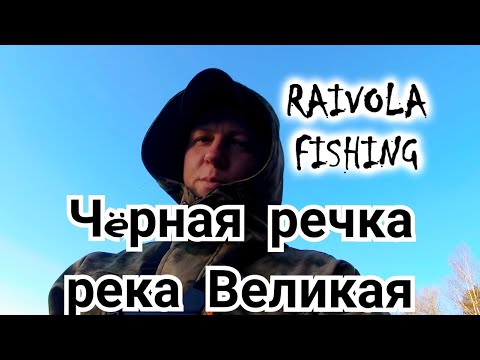 Видео: Рыбалка на Чёрной речке. Поиск рыбы на реках. Отловились на реке Великая.