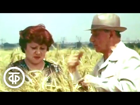 Видео: Моя Кабардино-Балкария. Документальный фильм (1981)