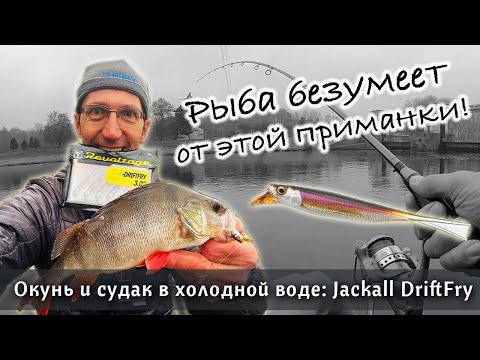 Видео: УЛОВИСТАЯ ПРИМАНКА на окуня и судака в ноябре - Jackall DriftFry. Отводной поводок на спиннинг!