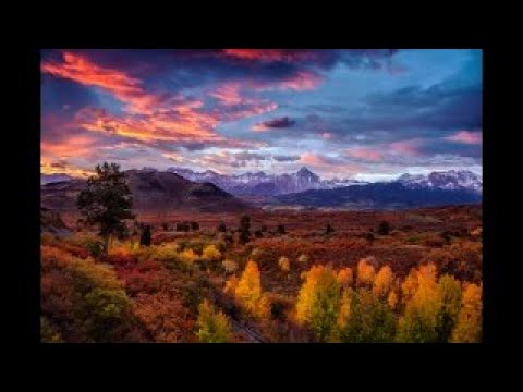 Видео: СТРИМ - КАК ВЫБРАТЬ СТРАНУ ДЛЯ ЖИЗНИ