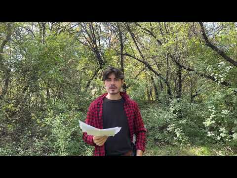 Видео: Обзор анализов 