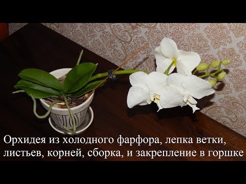 Видео: Орхидея из холодного фарфора, лепка бутонов, листьев, корней, сборка ветки, и закрепление в горшке