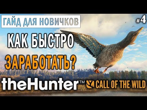 Видео: theHunter Call of the Wild #4 🔫 - Как Быстро Заработать и Прокачаться? - ГАЙД