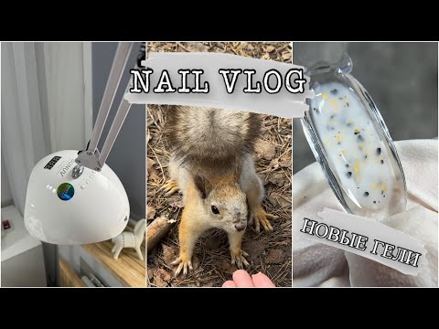 Видео: Nail Vlog🐿️/Апгрейд лампы для педикюра🛠️/Новые гели😍