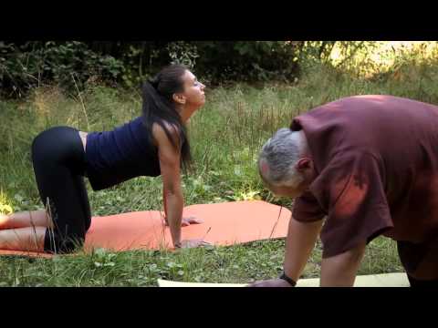 Видео: УПРАЖНЕНИЯ  ДЛЯ  ПОЗВОНОЧНИКА