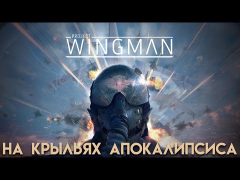 Видео: Почему Project Wingman так ХОРОША?