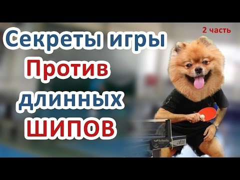 Видео: #НАСТОЛЬНЫЙ ТЕННИС. КАК ИГРАТЬ ПРОТИВ ДЛИННЫХ ШИПОВ. #2 КАК ИГРАТЬ ПРОТИВ ШИПОВАННОЙ РАКЕТКИ