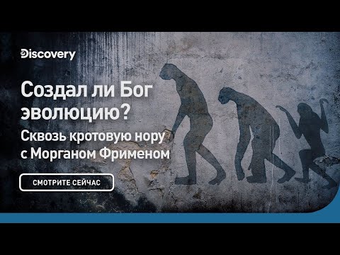 Видео: Создал ли Бог эволюцию? | Сквозь кротовую нору с Морганом Фрименом | Discovery