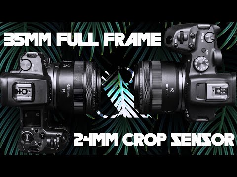 Видео: RF 35mm FULL FRAME EOS R и RF 24mm CROPP SENSOR EOS R7 // Сравнение камер и объективов!
