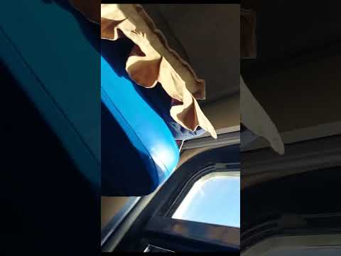 Видео: Еду на Родину Тараз Ташкент Кунград🙋‍♀️❤#света #тараз #ташкент #кунград 