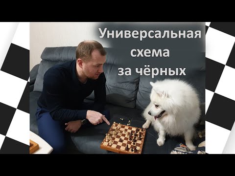 Видео: Универсальная дебютная схема за чёрных (кроме хода 1.е4)