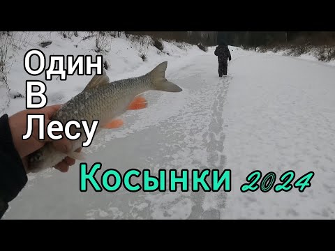 Видео: РЫБАЛКА НА КОСЫНКИ 2024-2025. КАК ЖЕ ТАК? ПРОПАЛА КОСЫНКА. СНОВА ГОЛАВЛИ.