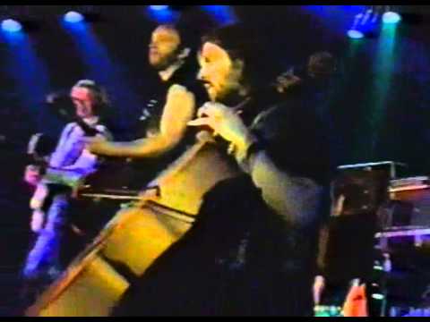 Видео: Аквариум - Капитан Африка