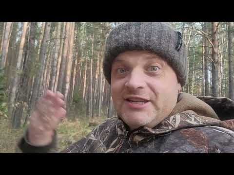 Видео: Юрист в курятнике | Антон Сорвачёв прожаривает РСП