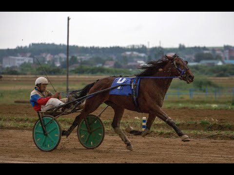Видео: 4-й заезд. Лошади рысистых пород 3-х лет, рожденные в Красноярском крае, дист. 2400м.