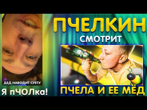 Видео: Пчелкин смотрит :  пчела и её мёд) / Алексей Пчелкин В ШОКЕ