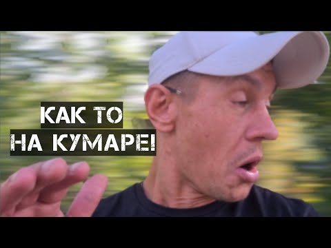 Видео: Шаман! Утром на КУМАРЕ!