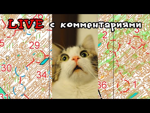 Видео: DG Orienteering • Headcam • Тренировка в Хорлово по ТОЙ САМОЙ КАРТЕ!