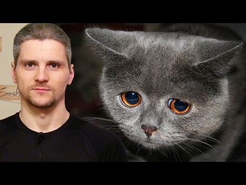 Видео: Про обиды и унижения