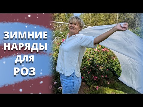 Видео: РОЗОМАНЫ ГОТОВЯТСЯ К ЗИМЕ. Краткий курс для начинающих. 30 августа 2024 г.