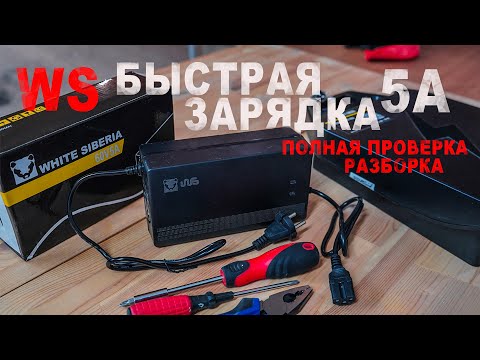 Видео: Электросамокат быстрая зарядка 5A. Dualtron, Halten, Ultron, Citycoco, Kugoo, Ibalance.