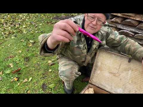 Видео: Старый чемодан набитый сокровищами 